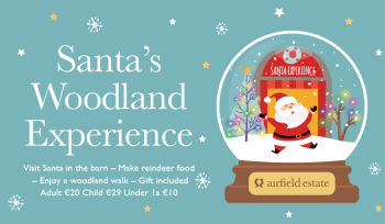 Santa’s Woodland Experience