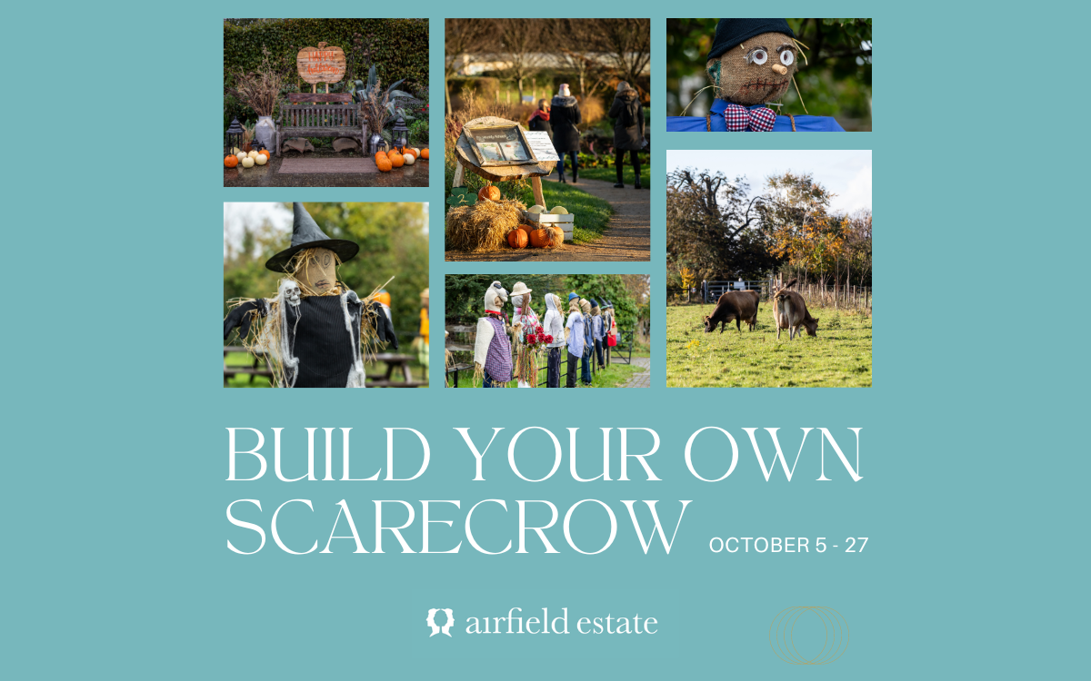 https://www.airfield.ie/wp-content/uploads/2024/09/Scarecrow-Workshop.png