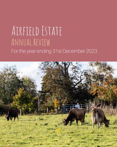 https://www.airfield.ie/wp-content/uploads/2024/10/2022-annual-report-cover-1.jpg