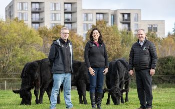 Certified Irish Angus partners with Airfield Estate to educate consumers on sustainable beef production